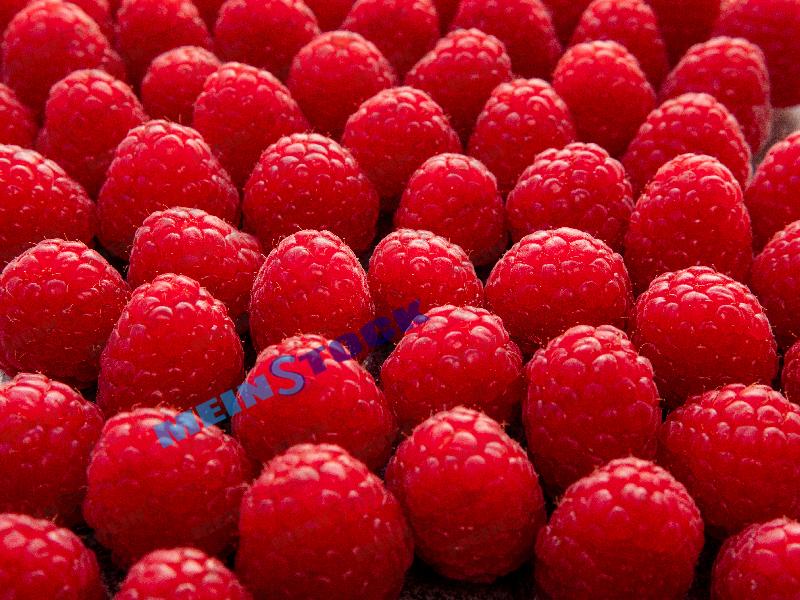 STOCK IMAGE #38 FOUNDED ON MEINSTOCK.EU